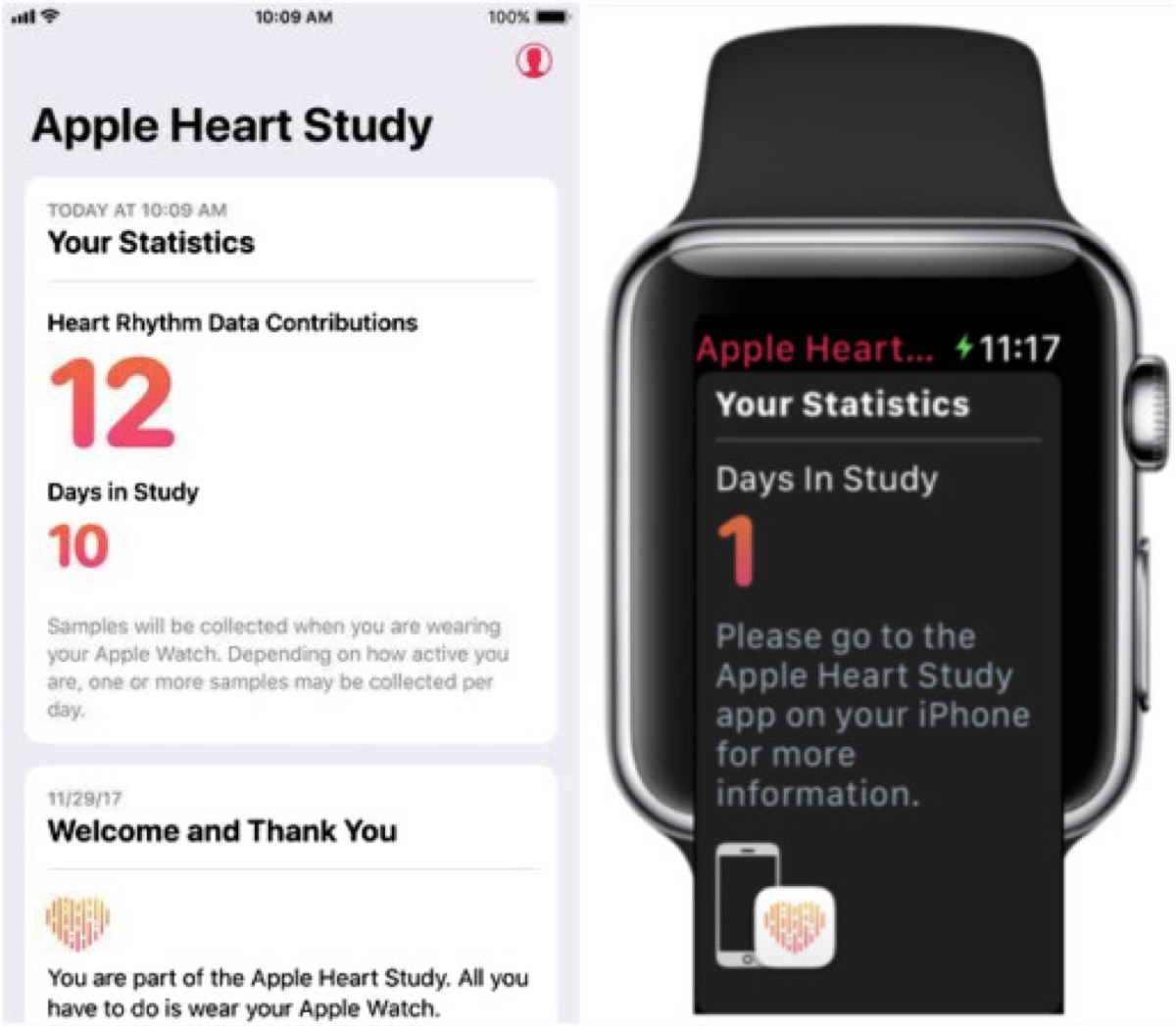 Apple Heart Study al termine nel 2019, partecipanti fondamentali per lo studio