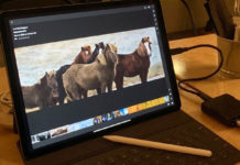 Il nuovo iPad Pro gestisce senza problemi immagini da 100 megapixel
