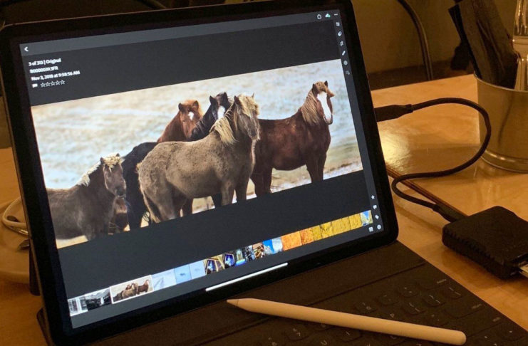 Il nuovo iPad Pro gestisce senza problemi immagini da 100 megapixel