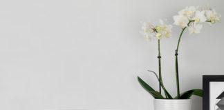 Recensione ScanSnap S1300i