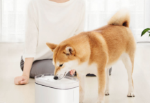 Da Xiaomi Youpin ecco il dispenser d’acqua per animali dal prezzo democratico