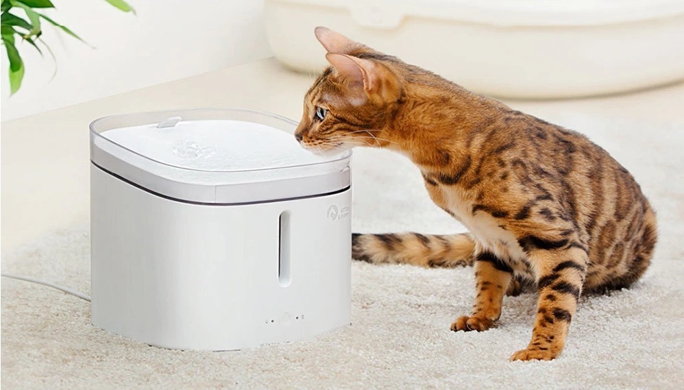 Da Xiaomi Youpin ecco il dispenser d’acqua per animali dal prezzo democratico Da Xiaomi Youpin ecco il dispenser d’acqua per animali dal prezzo democratico