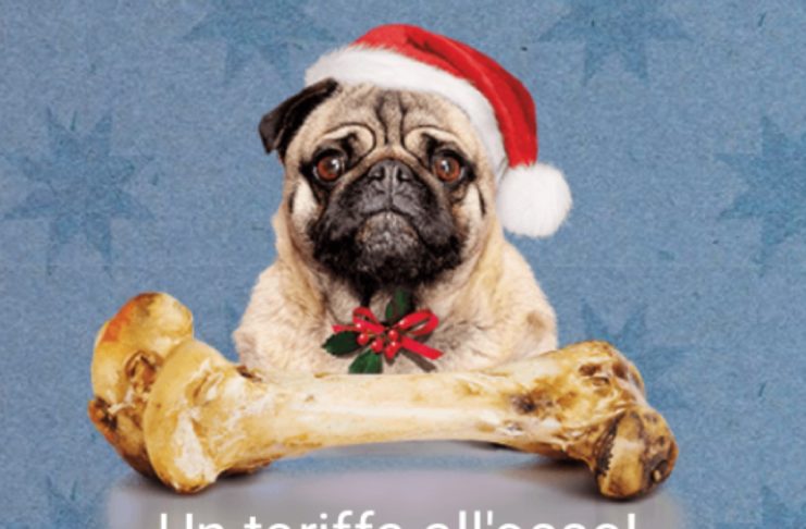 Kena Xmas, la super tariffa da 50 GB a 5,99 euro esiste solo grazie a iliad