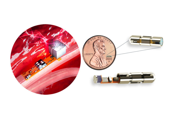 Un’azienda biotecnologica USA vuole produrre sensori impiantabili delle dimensioni di un granello di sabbia