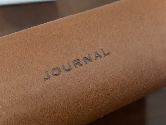 Sul dorso la scritta Journal