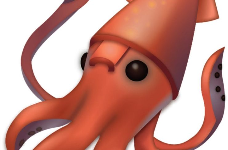 Il calamaro di Apple è sbagliato, noto acquario invita alla correzione