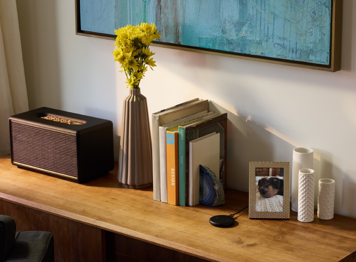 Amazon Echo Input trasforma qualsiasi speaker in altoparlante smart con Alexa