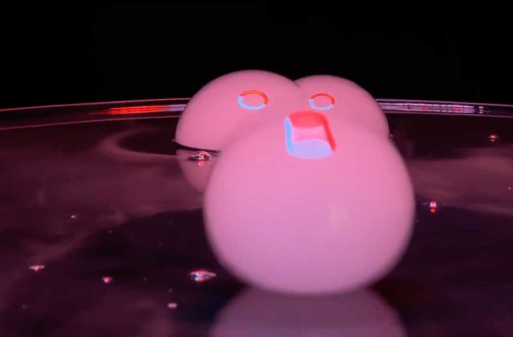 “Full Circle” è il nuovo spot di Apple girato con 32 iPhone XR