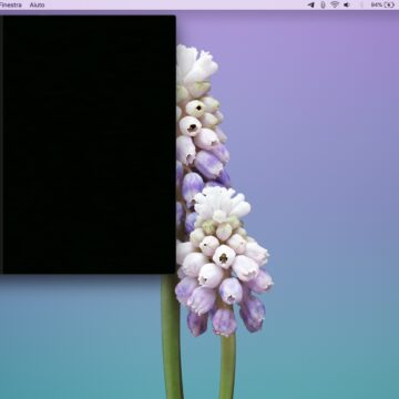 Come disattivare FaceTime su iPhone, iPad e Mac