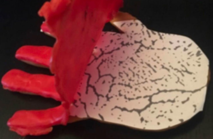 Una finta man di cera ha consentito di sconfiggere l’autenticazione delle vene