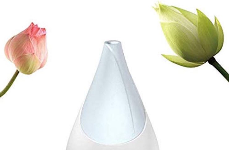 Flowerbud, umidificatore e lampada Smart compatibile HomeKit, Alexa e Google