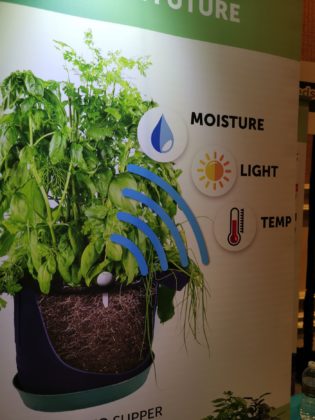 CES 2019, con Seedsheet il giardinaggio è davvero per tutti
