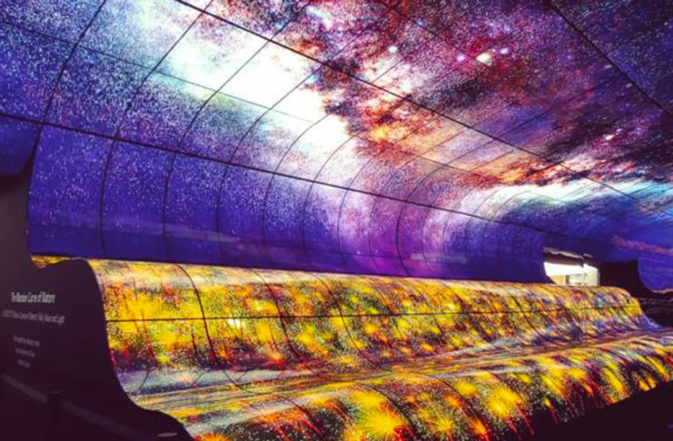 CES 2019, la “cascata” di colore di LG in una stupefacente installazione