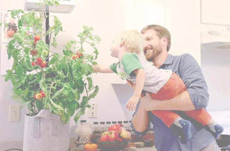 CES 2019, con Seedsheet il giardinaggio è davvero per tutti