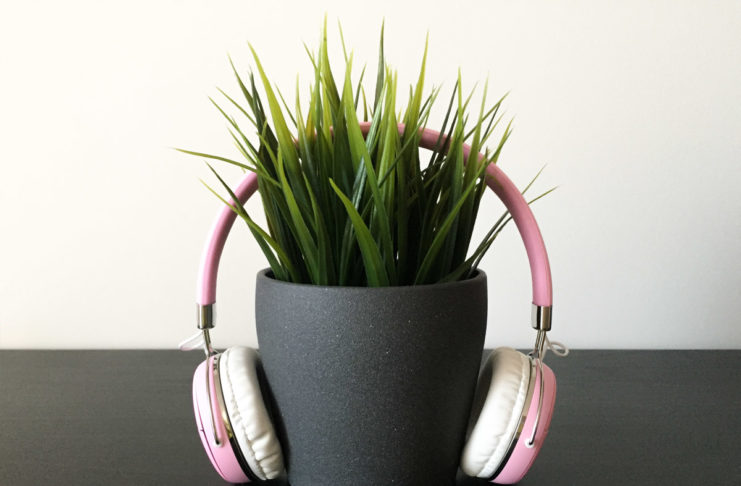 Recensione Tribit XFree Move, le cuffie per ragazze alla moda