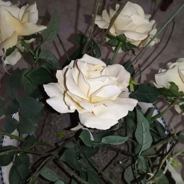 Recensione Elephone A5, quando tre camere sono meglio di due