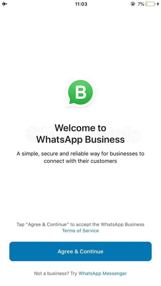 WhatsApp Business arriva su iOS in versione beta