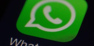WhatsApp Business arriva su iOS in versione beta
