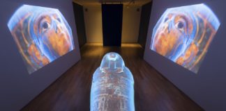 Archeologia invisibile: rivoluzione digitale e umanesimo in mostra al Museo Egizio