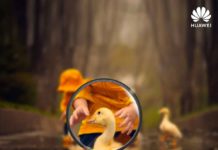 Huawei ci riprova: le foto che mostra come scattate con Huawei P30 sono di una fotocamera professionale Huawei ci riprova: le foto che mostra come scattate con Huawei P30 sono in realtà scattate con una fotocamera professionale