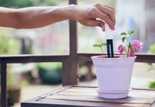Da Xiaomi ecco il “giardiniere” smart: un sensore per aiutarvi con le vostre piante
