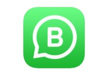 WhatsApp Business iOS disponibile ma solo in alcuni paesi