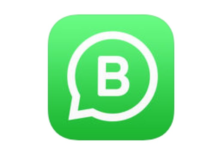 WhatsApp Business iOS disponibile ma solo in alcuni paesi