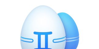 Liberatevi dai file doppi sul Mac con Gemini