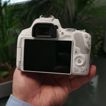 Canon presenta EOS 250D, la reflex con schermo orientabile più leggera al mondo 