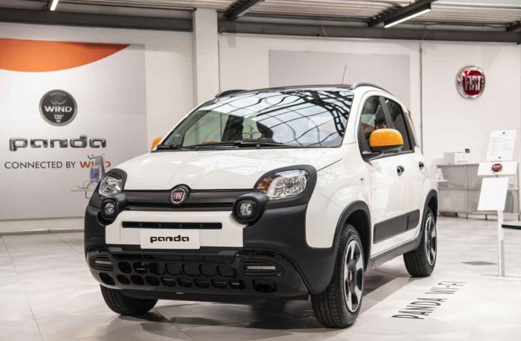 Panda Connected by Wind