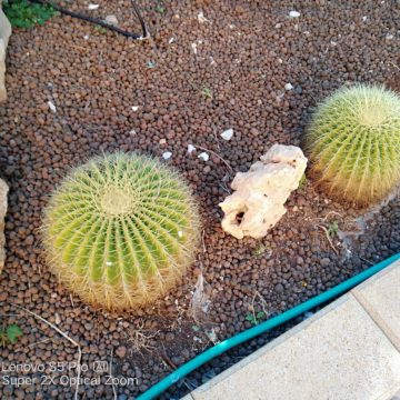 Recensione Lenovo S5 Pro, 6GB di RAM e quattro fotocamere ad un prezzo shock