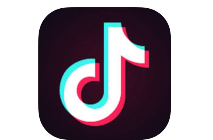 Apple e Google rimuovono l’app TikTok in India