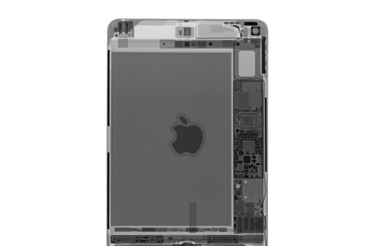 iPad mini 5 smontato: gemelli solo esternamente