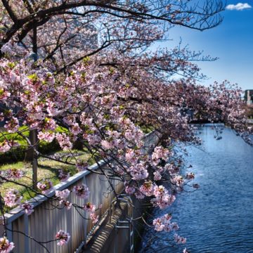 evgeny tchebotarev 1 afterluminar