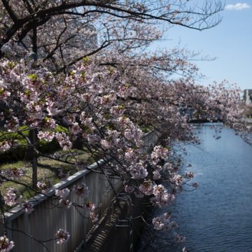 evgeny tchebotarev 1 beforeluminar