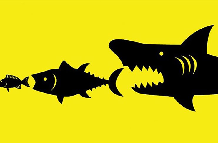 Google e Facebook: all’origine di due giganti nati da decine di acquisizioni