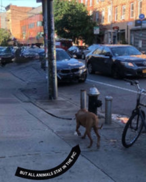 Bye Bye Camera, l’app che rimuove tutte le persone dalle foto