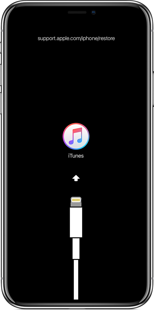iPhone USB-C avvistato in iOS 13 ma non fate subito festa