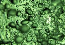 Nel nuovo spot della serie Scattato con iPhone, la magia degli esperimenti con l’acqua Nel nuovo spot della serie Scattato con iPhone, la magia degli esperimenti con l’acqua