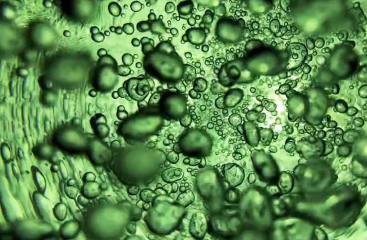 Nel nuovo spot della serie Scattato con iPhone, la magia degli esperimenti con l’acqua