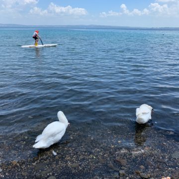 BG – Cancella foto su sfondo, l’app per iOS che scontorna le foto con l’intelligenza artificiale