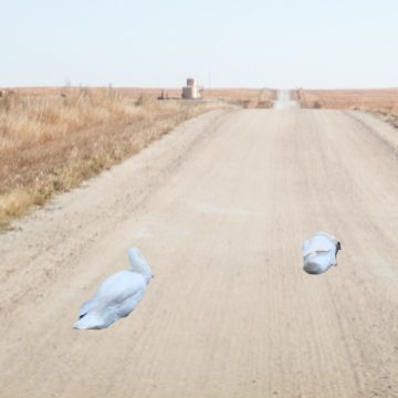 BG – Cancella foto su sfondo, l’app per iOS che scontorna le foto con l’intelligenza artificiale