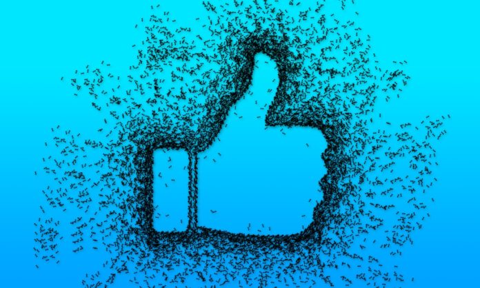 Sentenza UE: i siti con il pulsante Facebook Mi Piace sono avvertiti