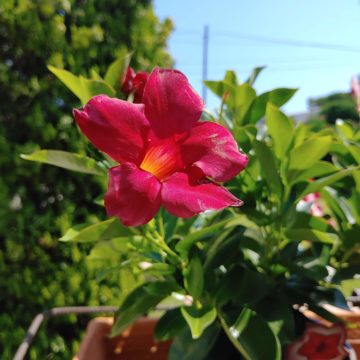 Recensione LG G8s ThinQ: tutto al posto giusto senza brillare