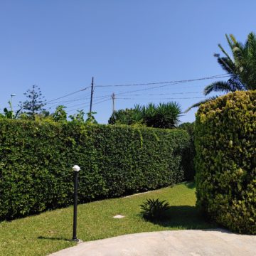 Recensione LG G8s ThinQ: tutto al posto giusto senza brillare