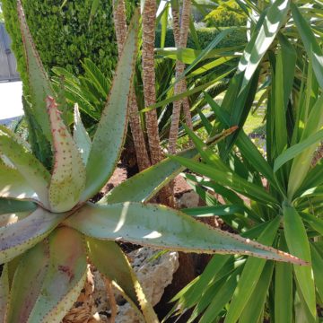 Recensione LG G8s ThinQ: tutto al posto giusto senza brillare