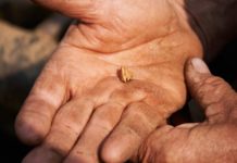 L’oro di Apple è più sostenibile: arriva da cercatori che rispettano l’ambiente