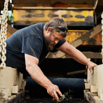 L’oro di Apple è più sostenibile: arriva da cercatori che rispettano l’ambiente