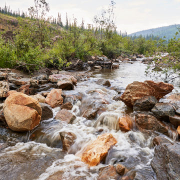 L’oro di Apple è più sostenibile: arriva da cercatori che rispettano l’ambiente