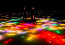 Tokyo, nel museo teamLab Planets le carpe virtuali nuotano in superficie e si trasformano in foglie autunnali Tokyo, nel museo teamLab Planets le carpe virtuali nuotano in superficie e si trasformano in foglie autunnali